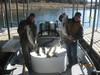 (11/18/2014) - Nice Striped Bass